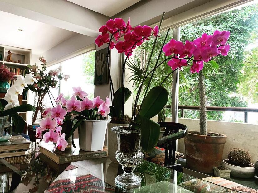 La sala de estar del departamento de Rebecca Jones. Foto: Instagram @la_rebeccajones
