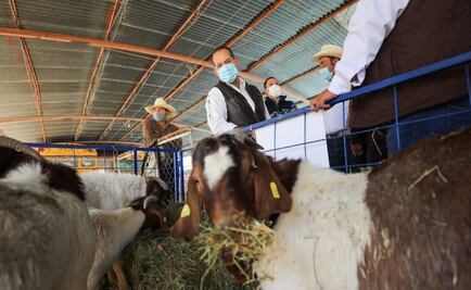Aguascalientes alista bolsa con 200 mdp para apoyar a familias del campo