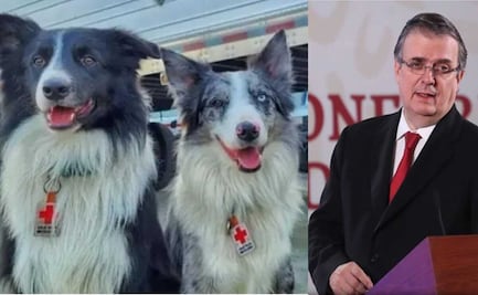 Marcelo Ebrard presume llaveros de perros rescatistas y ¡todos queremos uno!