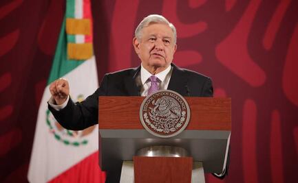 “No los considero grave”: AMLO sobre los brotes de gripe aviar H5N1 