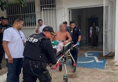 Ataque de abejas deja cuatro personas lesionadas en Peto, Yucatán; fueron trasladadas al centro de salud