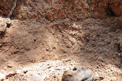 Acusan falta de atención a familiares de desaparecidos