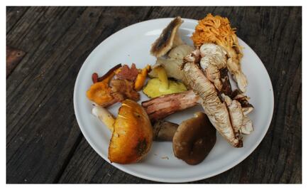 Disfruta la temporada de hongos en Edomex