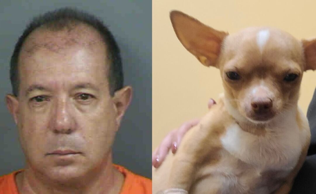 Osvaldo Sánchez, de 61 años, realizó una cirugía ilícita en un chihuahua de 6 años llamado Sugar en mayo de este año. Foto: Oficina del Sheriff del Condado de Collier
