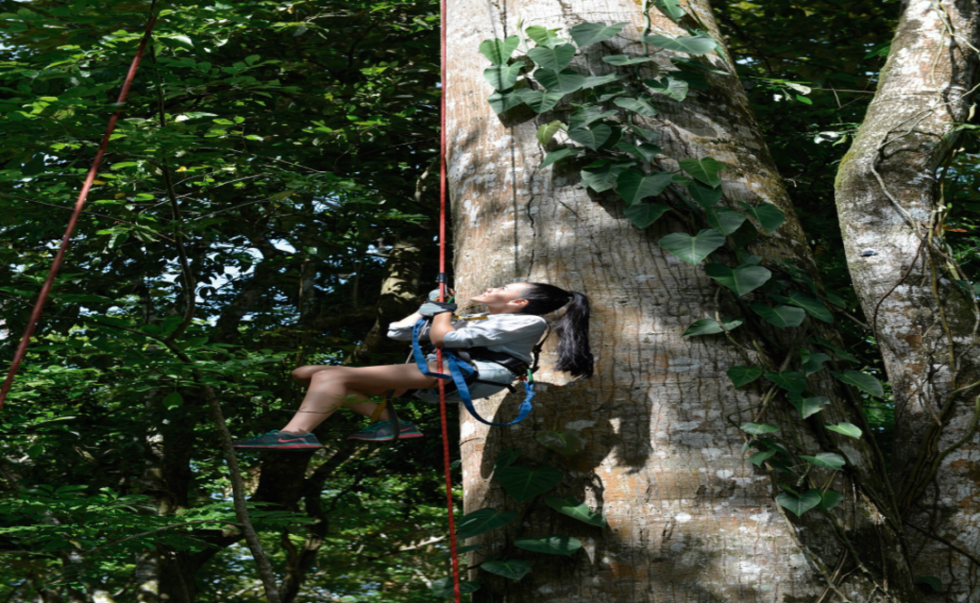 En el centro turístico podrás disfrutar del contacto directo con la naturaleza. (Foto: Cortesía Turismo Chiapas)