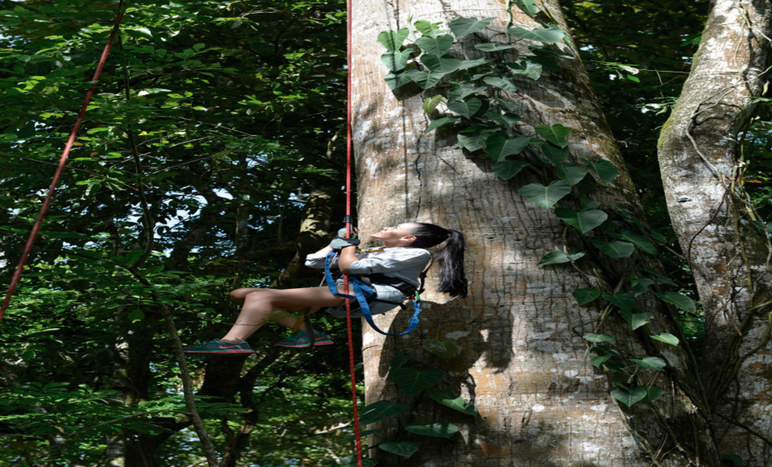 En el centro turístico podrás disfrutar del contacto directo con la naturaleza. (Foto: Cortesía Turismo Chiapas)
