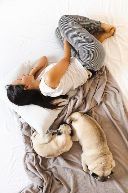 ¿Te gusta dormir con tu mascota en la cama? Estos son los beneficios y los riesgos. Fuente: Freepik.