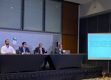 Informe de DNV dice que se sabía de daños en zona colapsada de la L12 desde el 2019: abogado