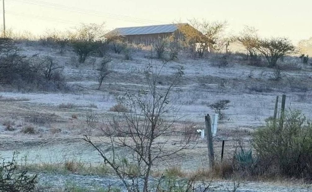 Foto: Ricardo Bautista / Especial