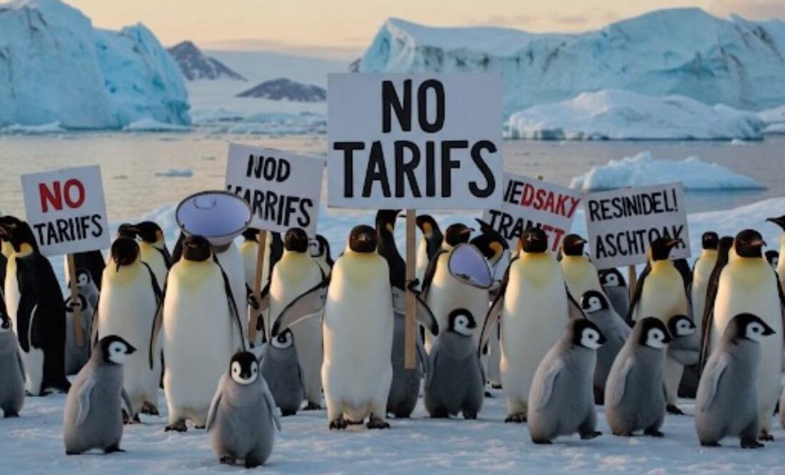 Los pingüinos nos roban desde hace años": oposición se burla de aranceles impuestos a isla habitada por aves marinas | El Universal