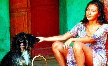 ¿Qué ocurrió con Pulgoso, el perro de 'Marimar'?