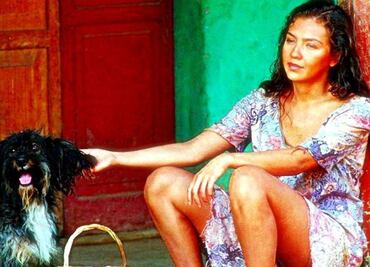 ¿Qué ocurrió con Pulgoso, el perro de 'Marimar'?