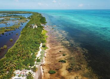 Corales y tiburones: snorkel en el atolón más grande de México