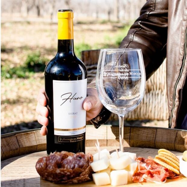 Explora la ruta de vinos en Coahuila 