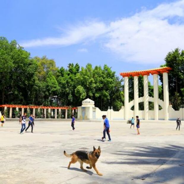 Entérate. Cinco lugares para pasear a tu perro