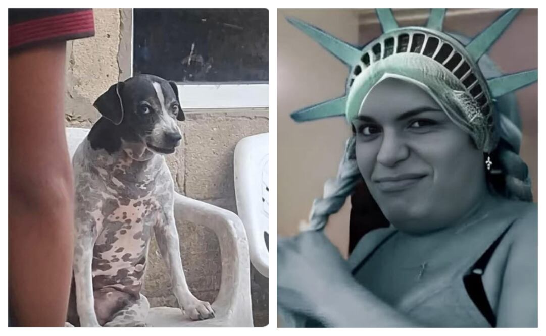 Los mejores memes para celebrar la independencia de EU