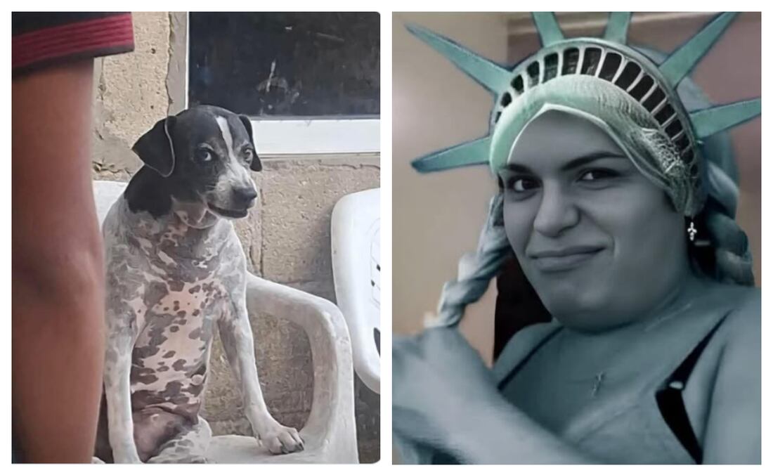 Los mejores memes para celebrar la independencia de EU