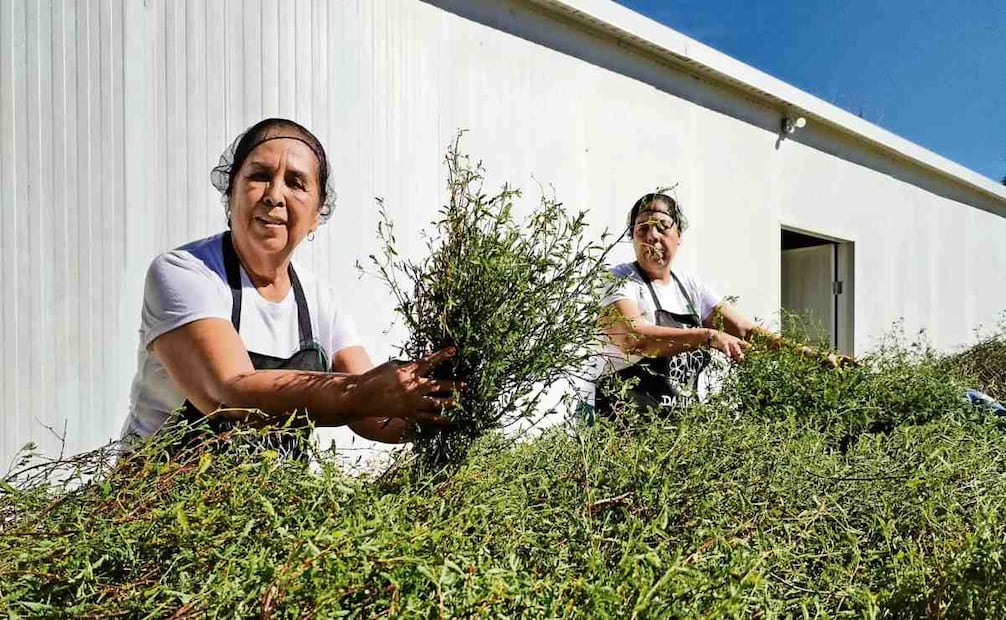 Foto: Gladys Navarro / EL UNIVERSAL