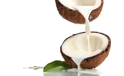 ¿Por qué no debes consumir coco?