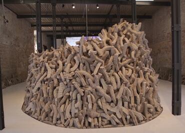 Sustituir el cemento con formas salinas, la propuesta que ganó el León de Oro en la Bienal de Arquitectura de Venecia