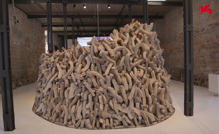 Sustituir el cemento con formas salinas, la propuesta que ganó el León de Oro en la Bienal de Arquitectura de Venecia