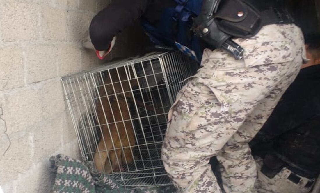 Fotografía: Especial