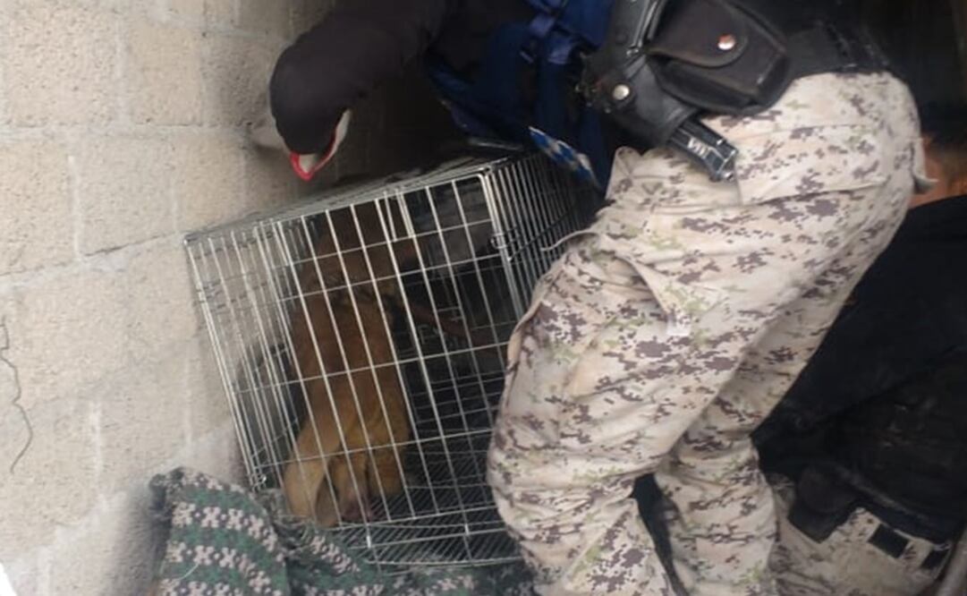 Fotografía: Especial