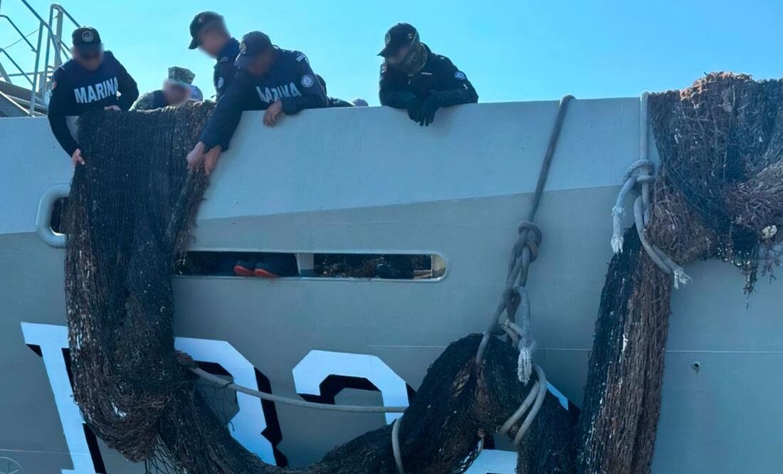 Conanp con apoyo de Marina retira 100 metros de red para pesca ilegal en el Parque Nacional Zona Marina del Archipiélago de Espíritu Santo. Foto: Especial