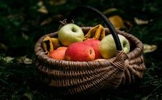 Cuáles son las mejores frutas para cenar