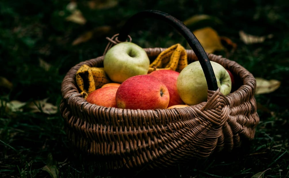 Foto: Unsplash.