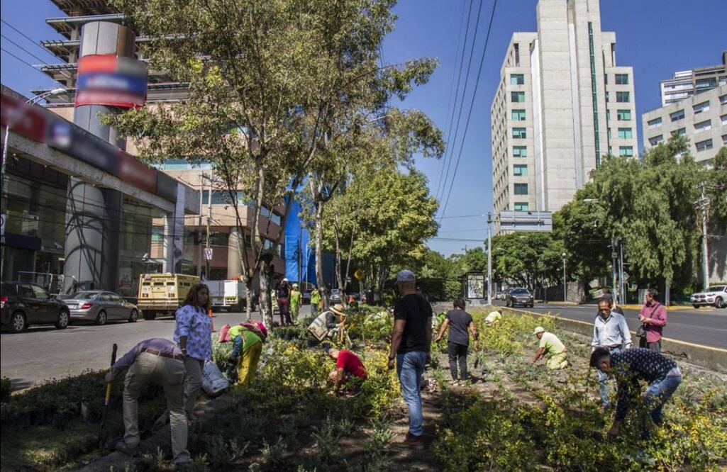 FOTO: Archivo/EL UNIVERSAL/