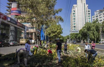 CDMX gana el primer lugar en los World Green City Awards 2022, por acciones contra el cambio climático
