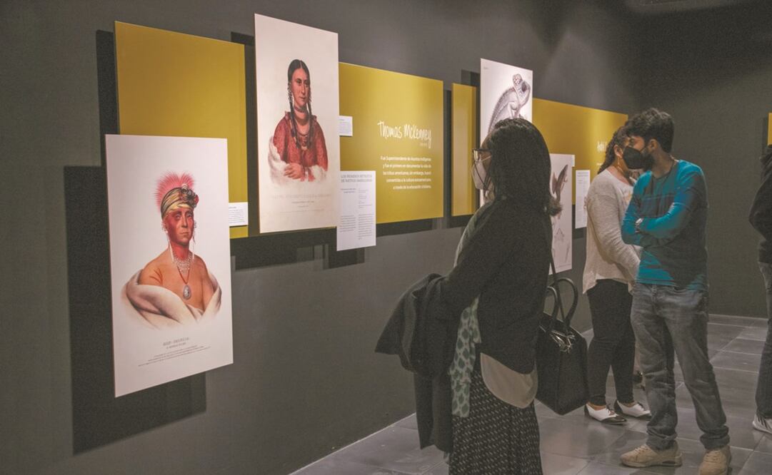 La exposición estará hasta octubre. Foto: UNIVERSUM