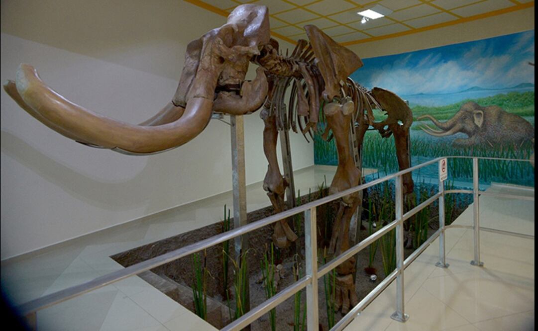 Foto: Cortesía INAH