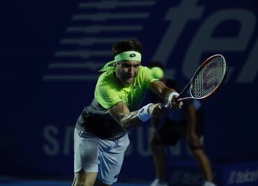 Del Potro elimina a Ferrer en el Abierto Mexicano de Tenis