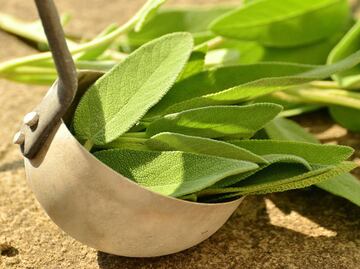 La infusión de salvia alivia y previene todas estas enfermedades