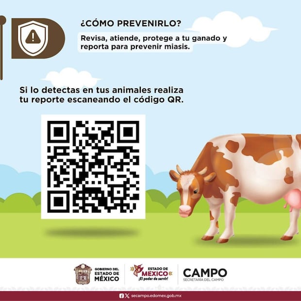 Información sobre gusano barrenador detectado en una cabra en Edomex (01/01/2026). Foto: Especial