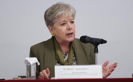 "No hemos detectado daño ambiental severo": Alicia Bárcena sobre derrame petrolero; Profepa reporta 6 especies afectadas