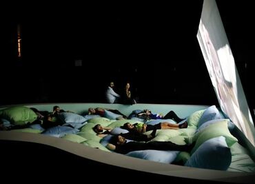 Performance invita a tener "sexo" con delfines