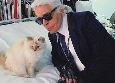 Día Internacional del Gato: Conoce a Choupette, la gata más rica de la moda