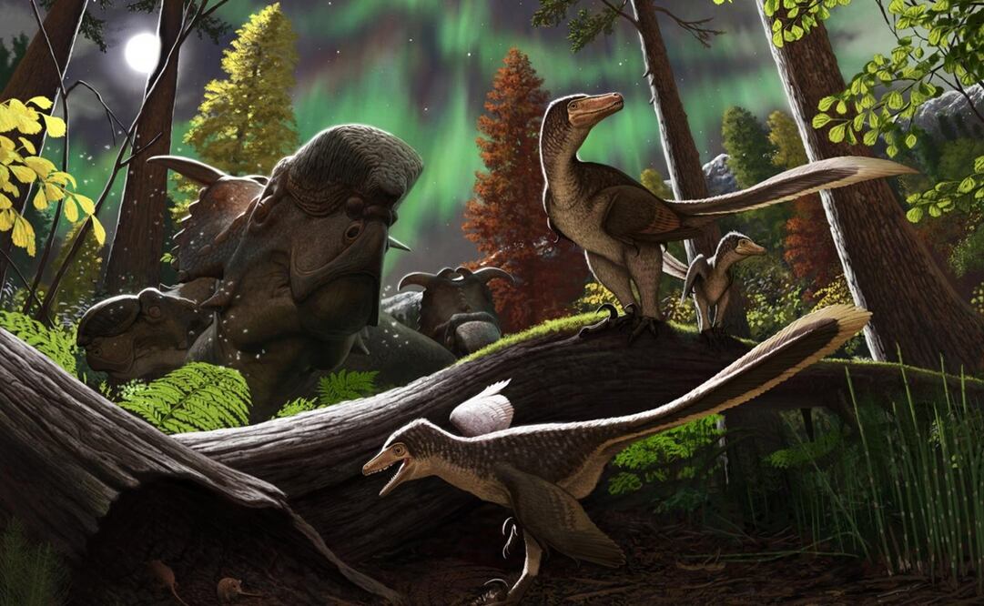 Reconstrucción del dinosaurio dromaeosaurio juvenil del Ártico - ANDREY ATUCHIN vía Europa Press