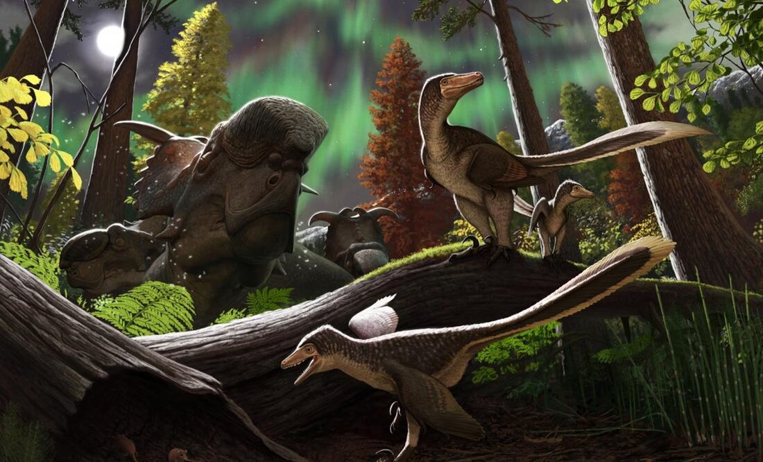 Reconstrucción del dinosaurio dromaeosaurio juvenil del Ártico - ANDREY ATUCHIN vía Europa Press