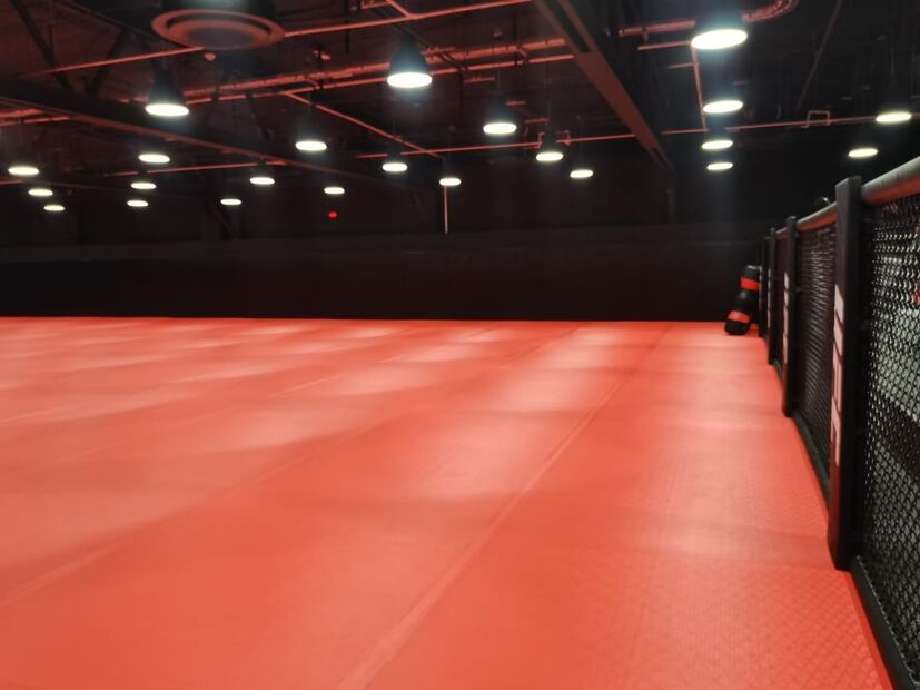 Así es el UFC Performance Institute