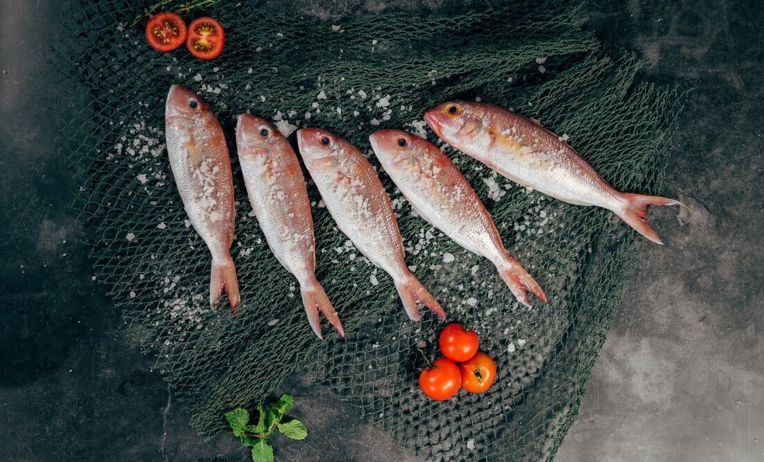 El pescado es un alimento rico en vitaminas, minerales y aminoácidos esenciales para el cuerpo. Foto: Unsplash