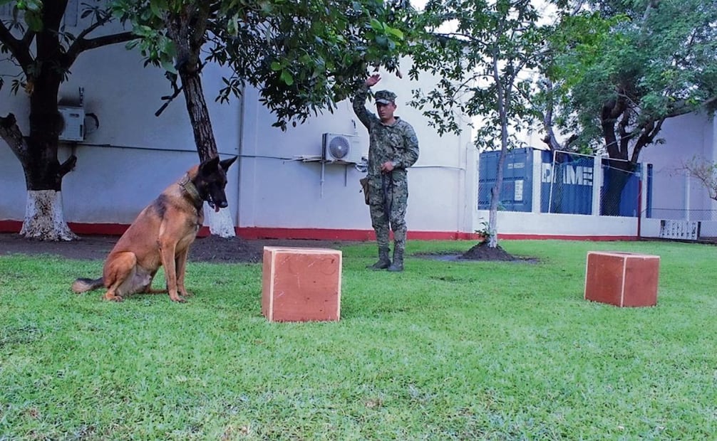 Hacen equipo para detectar sustancias prohibidas