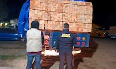 Detienen a 14 personas por tala ilegal en Michoacán; aseguran 25 vehículos con 539 metros cúbicos de madera