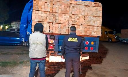 Detienen a 14 personas por tala ilegal en Michoacán; aseguran 25 vehículos con 539 metros cúbicos de madera