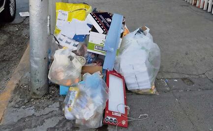 Proponen que tirar basura sea delito tipificado en el Código Penal local; hasta seis años de cárcel por contaminar espacios públicos