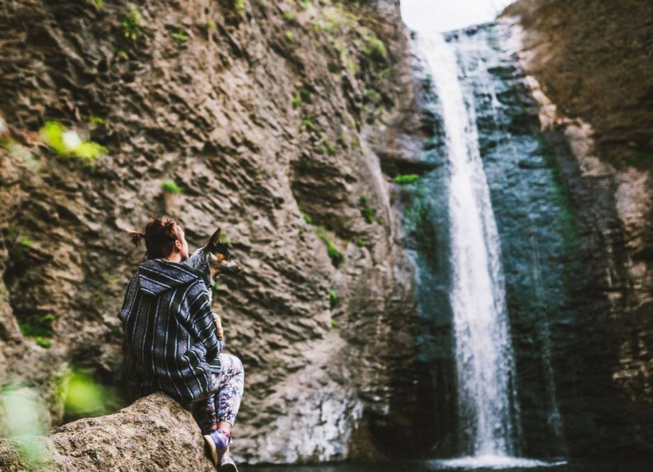 Foto: Karsten Winegeart. Unsplash