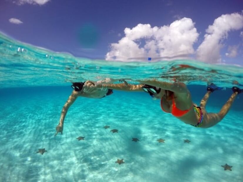El Cielo, la playa de Cozumel donde habitan estrellas de mar